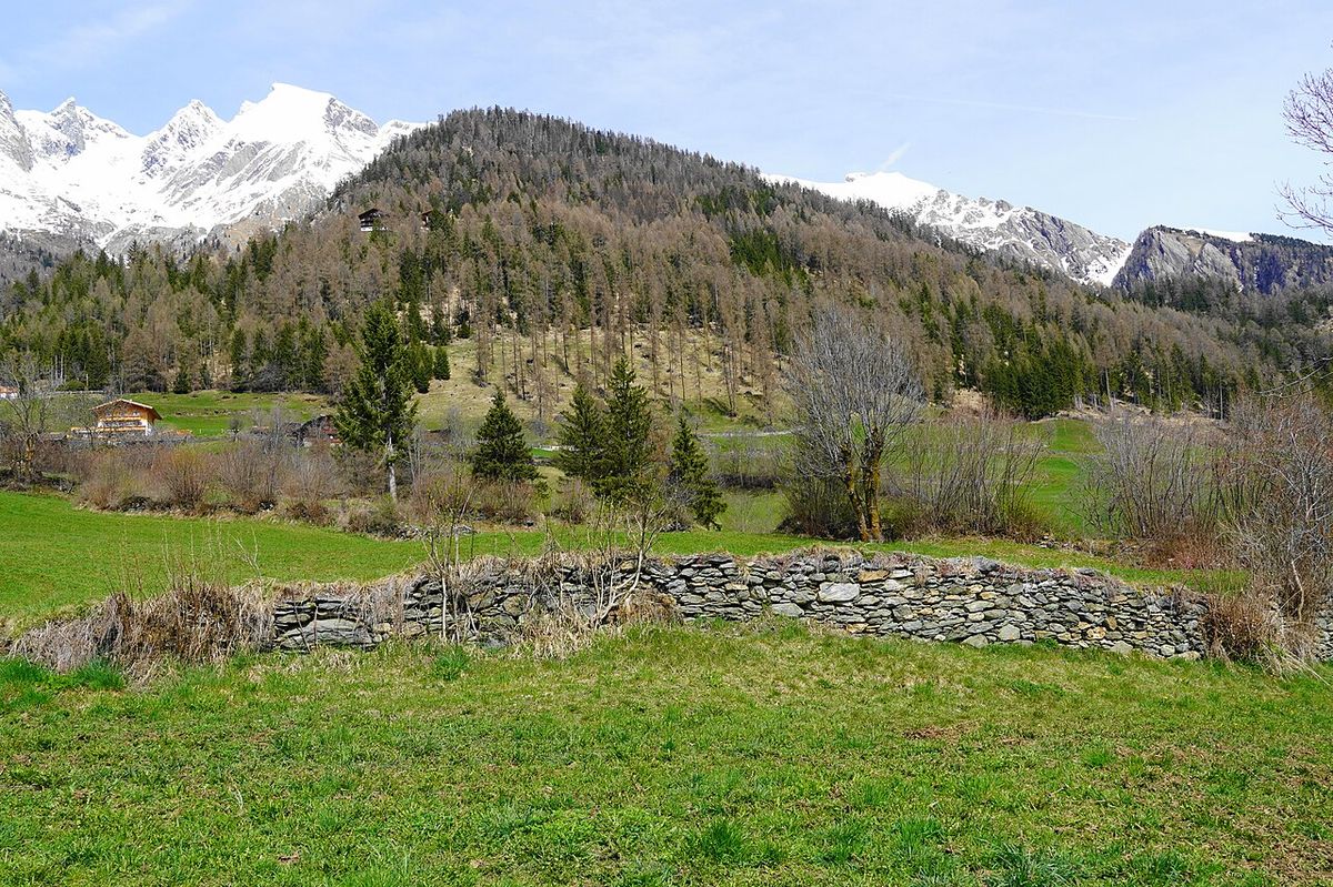 Trockensteimauern in der Gemeinde Virgen, Osttirol