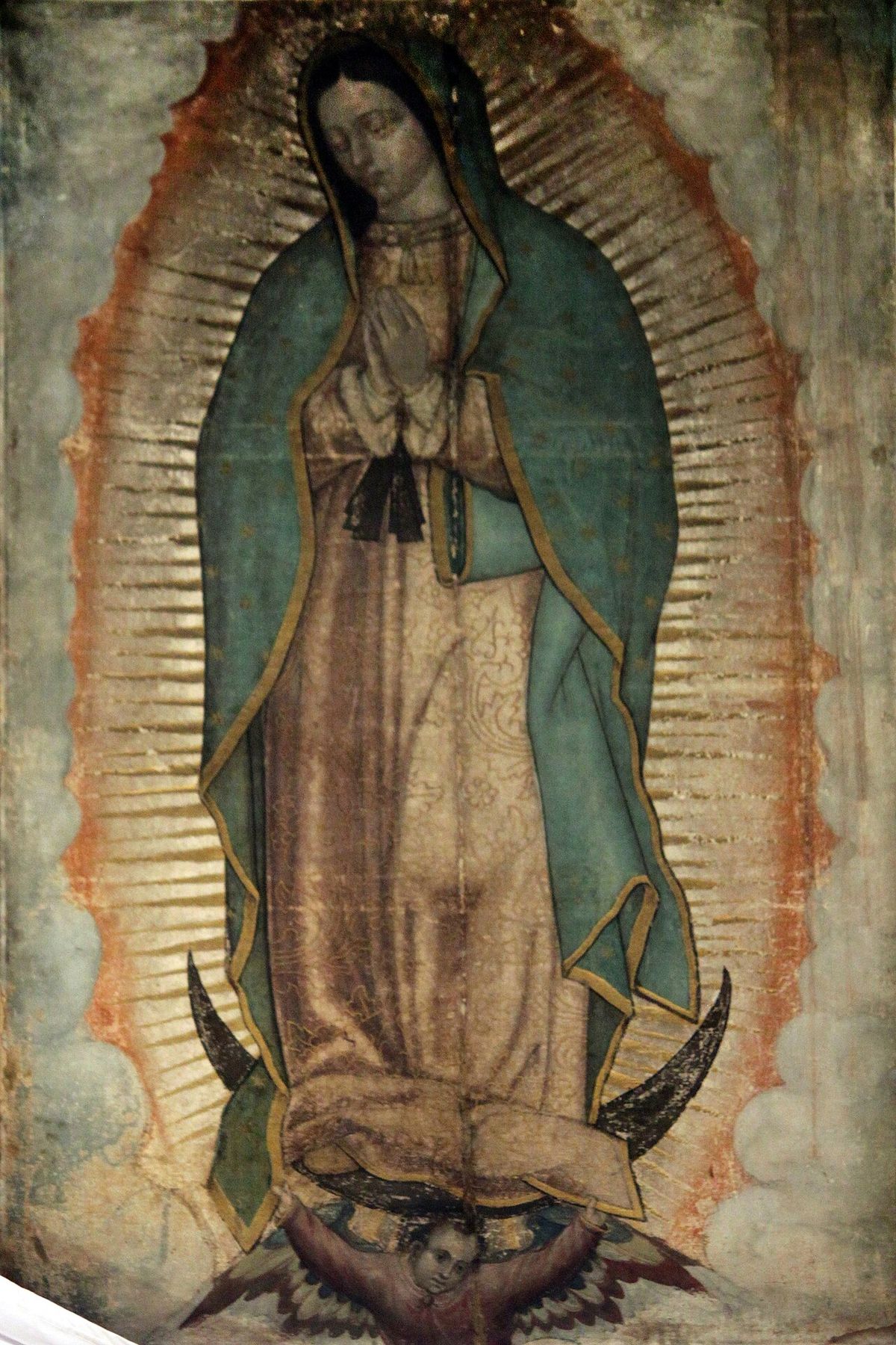 The tilma of Our Lady of Guadalupe