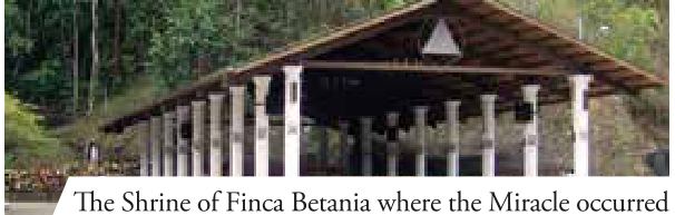 Photograph from the exhibition for Betania
