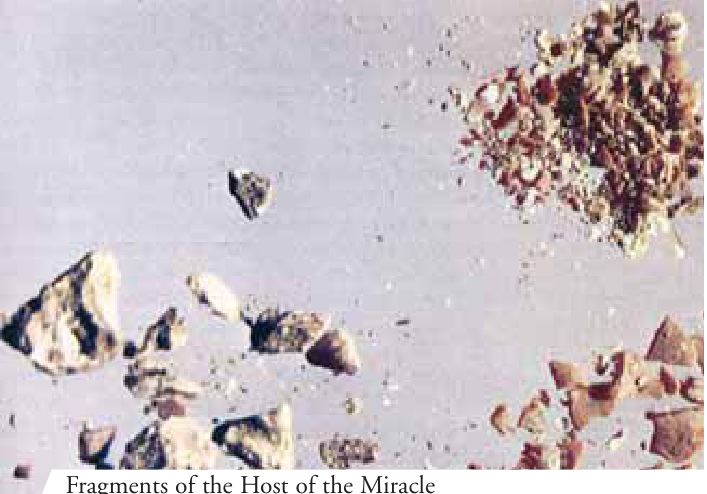 Fragments of the Host of the Miracle