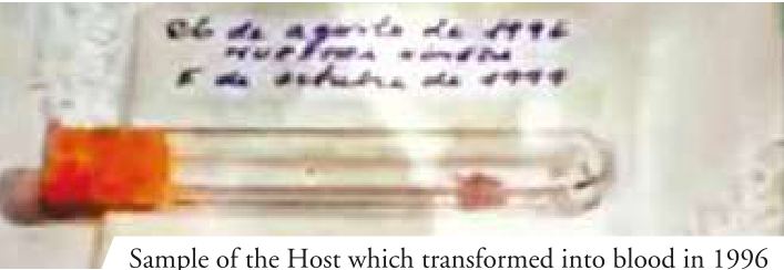 Sample of the Host which transformed into blood in 1996