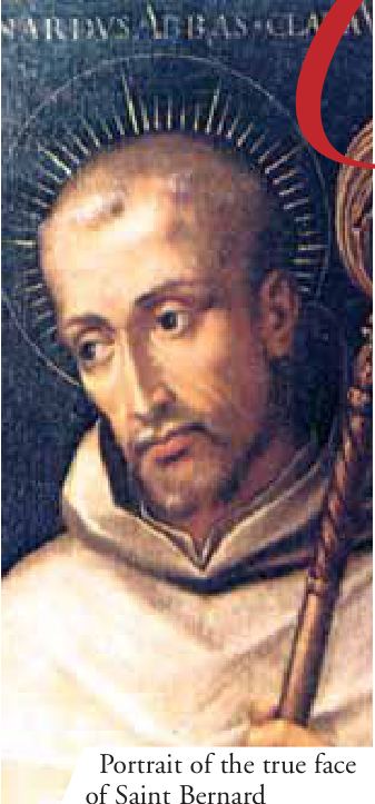 Portrait of the true face of Saint Bernard