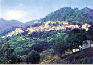 Photograph from the exhibition for San Mauro La Bruca