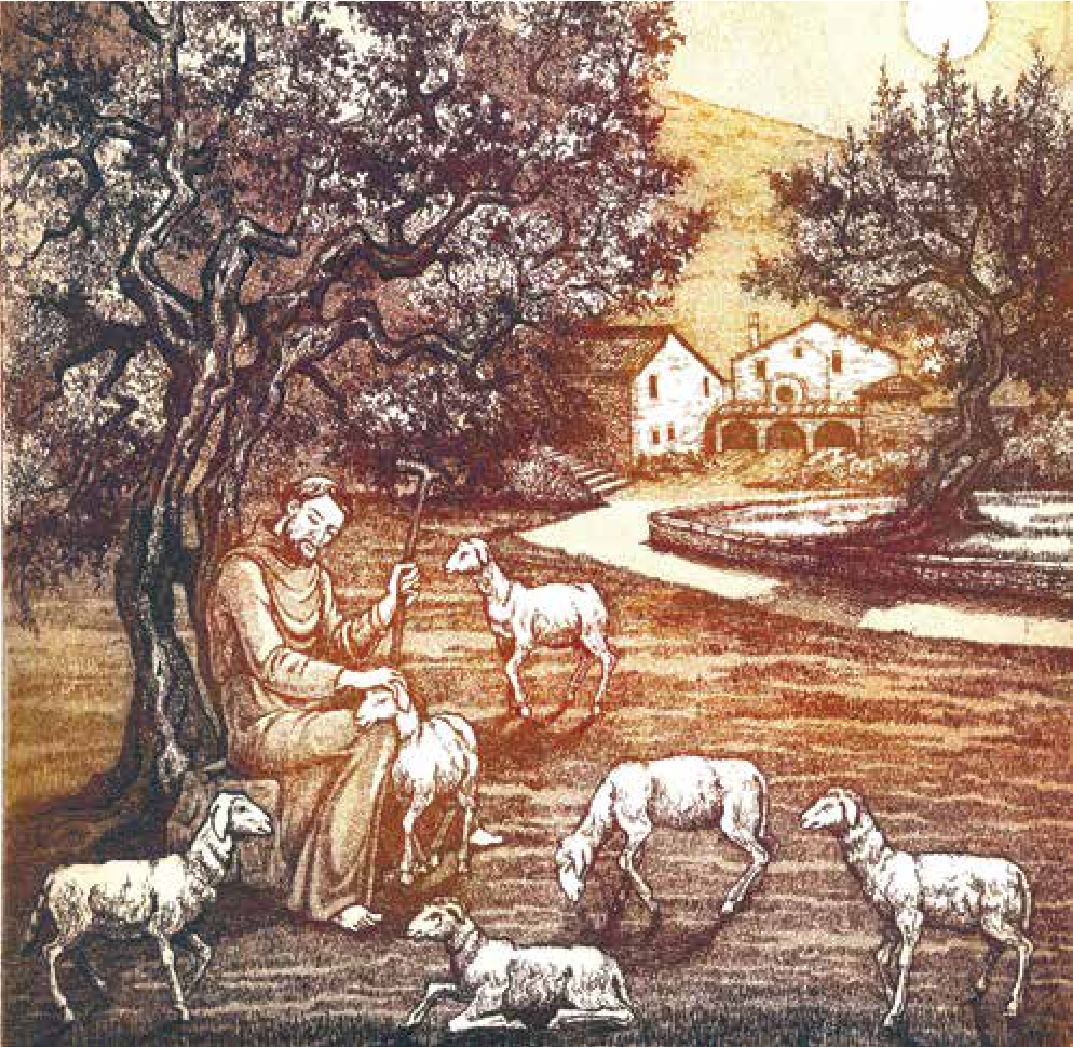 Photograph from the exhibition for Saint Francis of Assisi