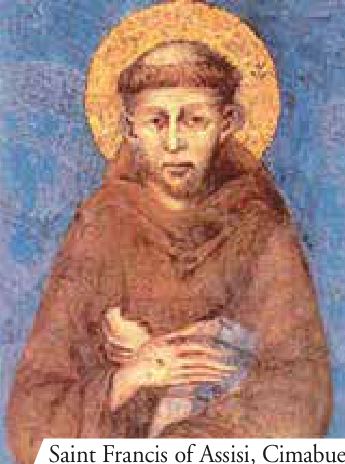 Photograph from the exhibition for Saint Francis of Assisi