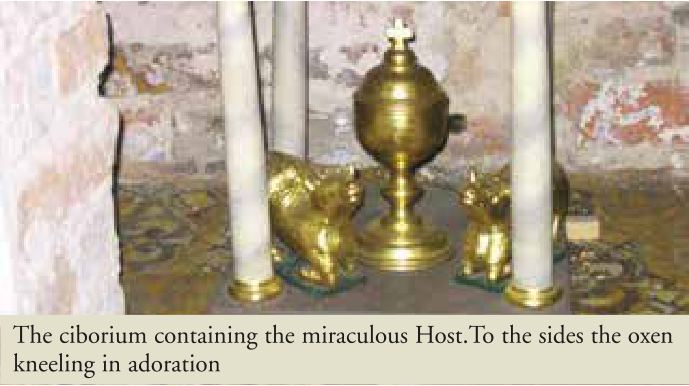 Photograph from the exhibition for Glotowo