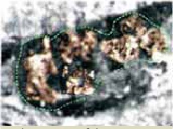 Photograph from the exhibition for Guadalupe, Mexico, Juan Diego