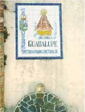 Photograph from the exhibition for Guadalupe