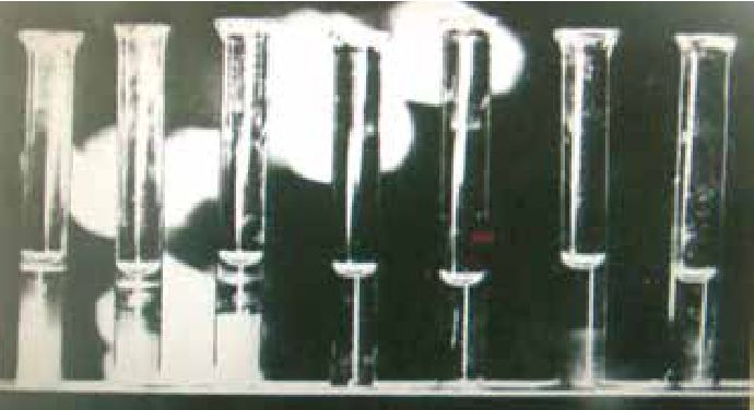 Photograph from the exhibition for Lanciano