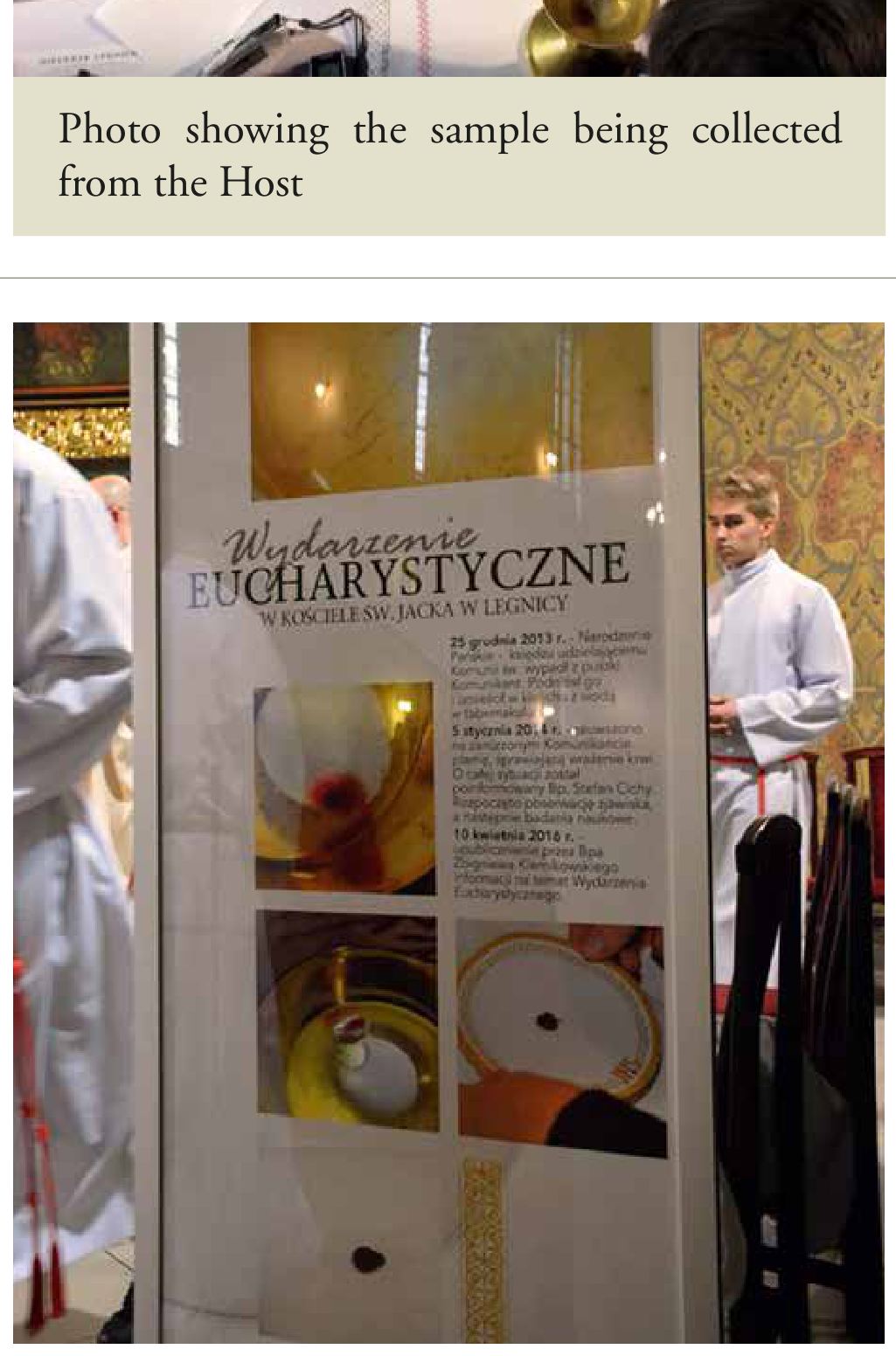 Photograph from the exhibition for Legnica