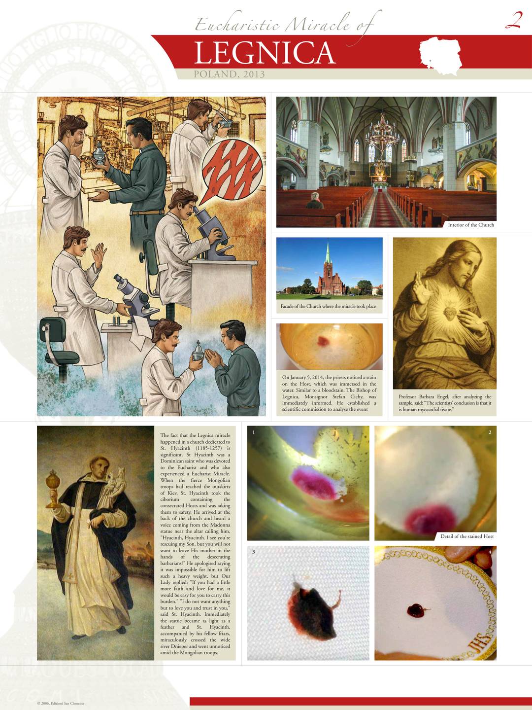 Exhibition panel for Legnica (2/2)