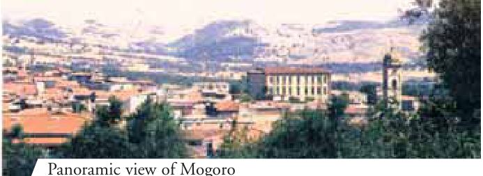 Photograph from the exhibition for Mogoro