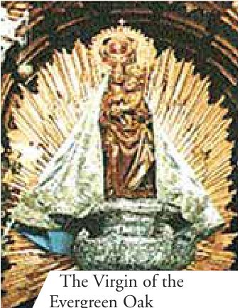 The Virgin of the Evergreen Oak