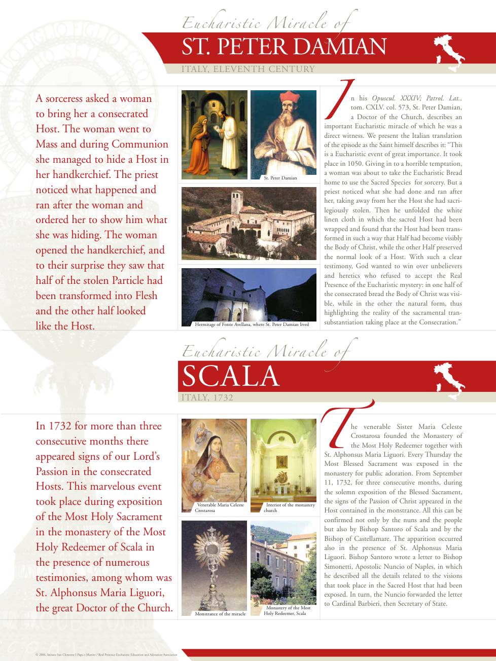 Exhibition panel for S. Peter Damian