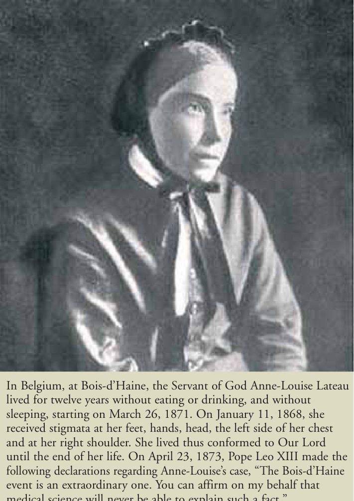 Photograph from the exhibition for Blessed Nicholas Steno (in Danish)