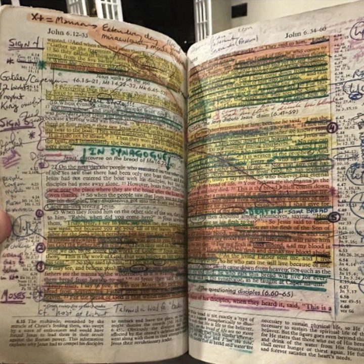 Scott Hahn's Bible
